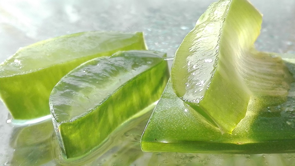 se puede comer aloe vera