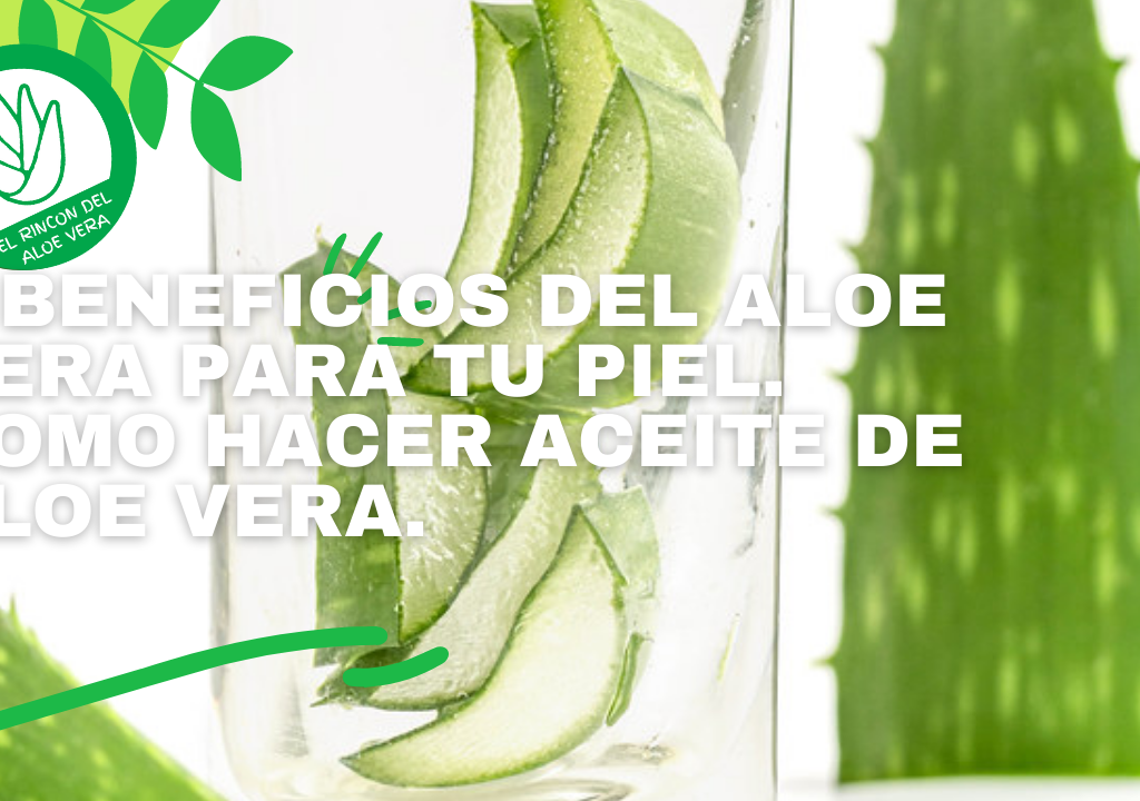 5 Beneficios del ALOE VERA para un cuerpo y una piel perfecta con tu propio aceite