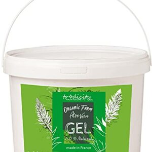 Gel de Aloe Vera 100% Natural para el Cuidado de la Piel