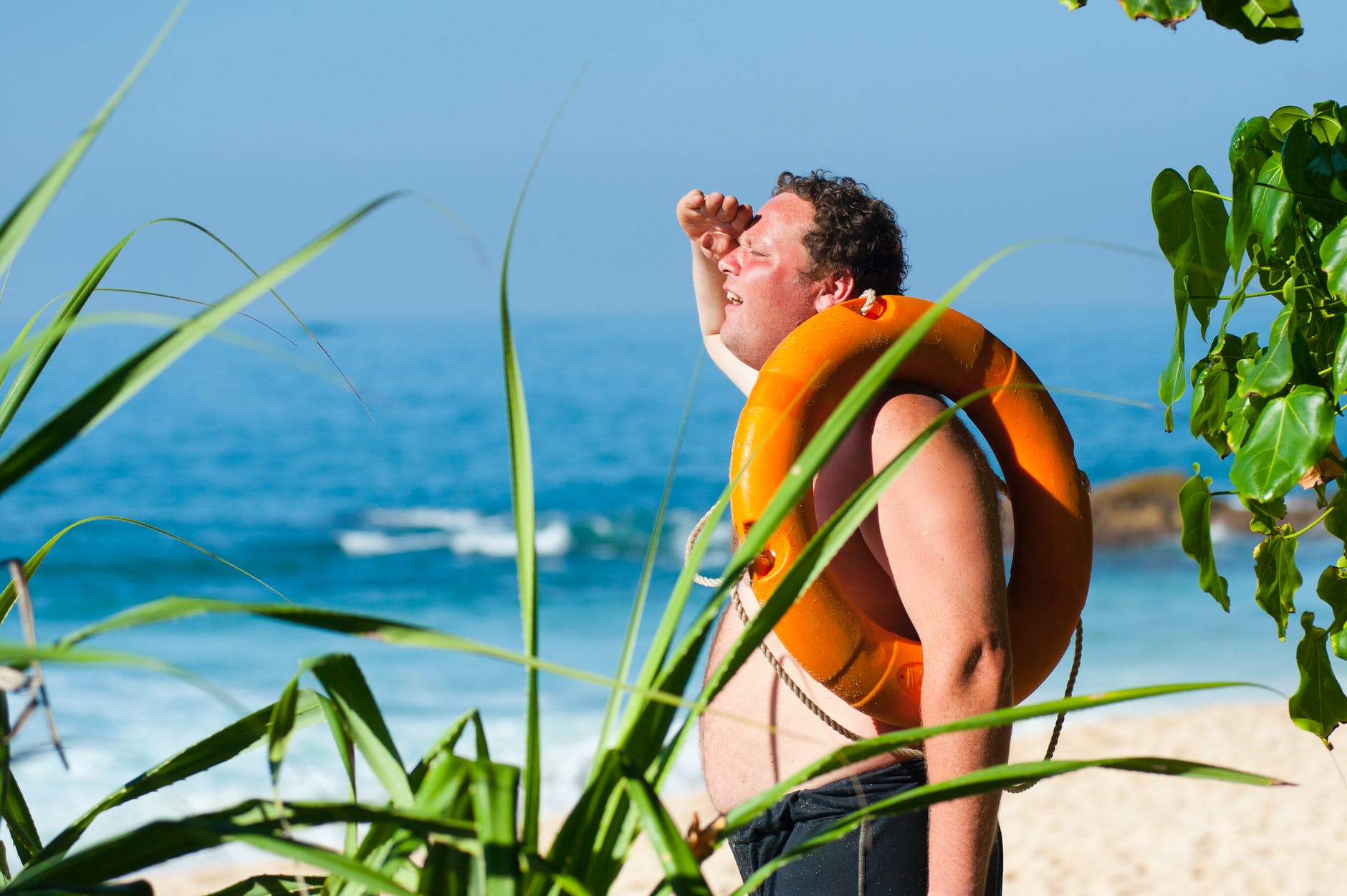 Aloe Vera para tratar quemaduras solares