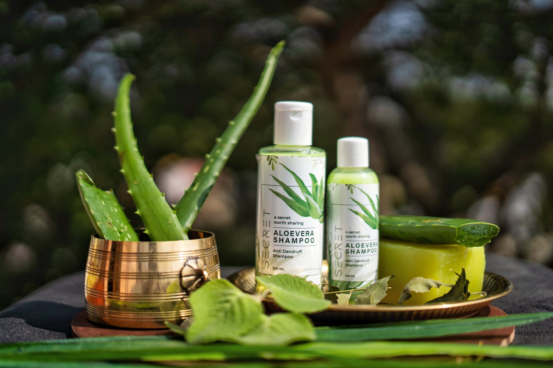 green and white bottles of shampoo on tray