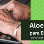 Aloe Vera para la artritis ALOE VERA PARA LA ARTRITIS