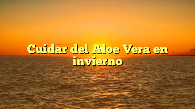 Cuidar del Aloe Vera en invierno