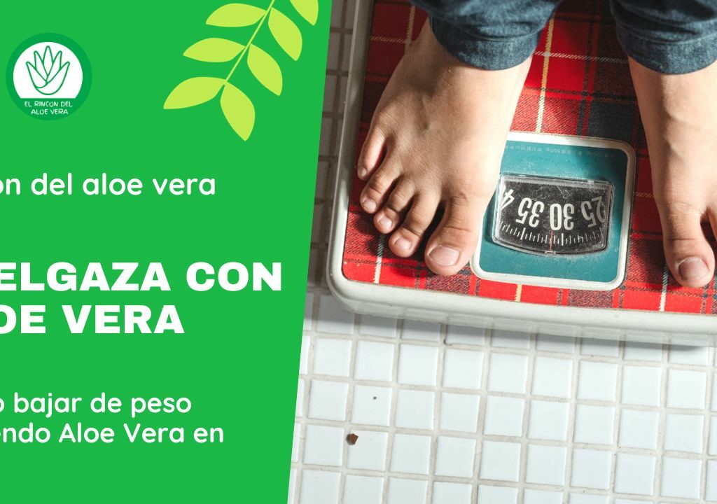 RINCON DEL ALOE VERA - Cómo bajar de peso bebiendo Aloe Vera en 2024