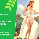 RINCON DEL ALOE VERA - Consejos & trucos: Cómo congelar el Aloe Vera para uso doméstico