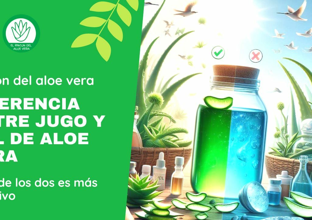 RINCON DEL ALOE VERA - Diferencia entre Jugo y Gel de Aloe Vera