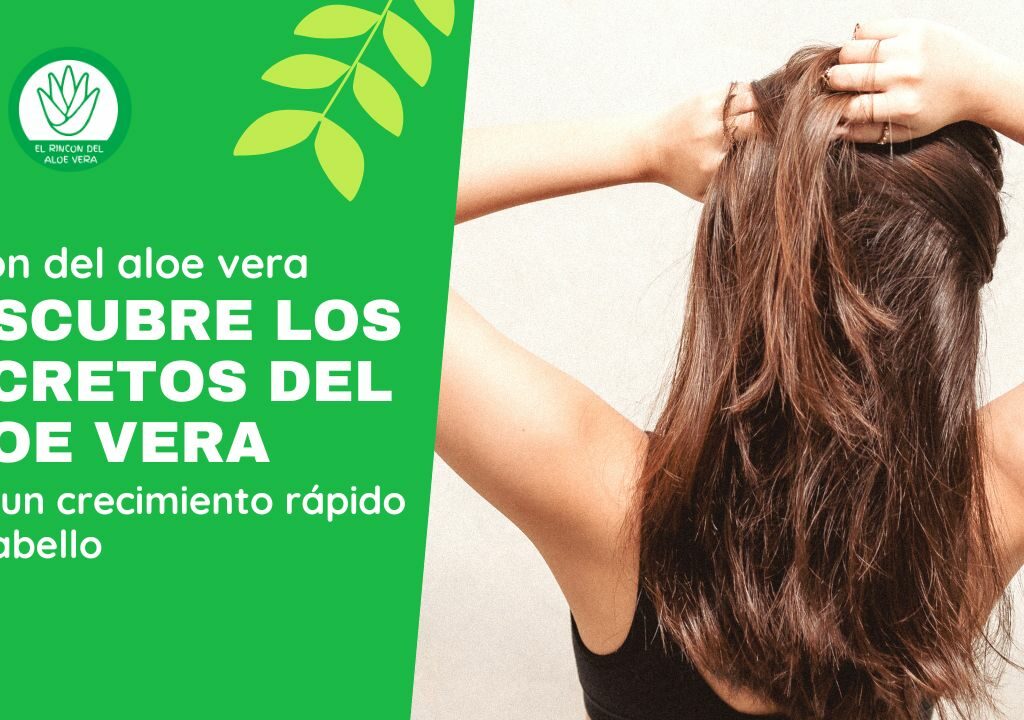 Descubre los secretos del Aloe Vera para un crecimiento rápido del cabello