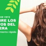 Descubre los secretos del Aloe Vera para un crecimiento rápido del cabello