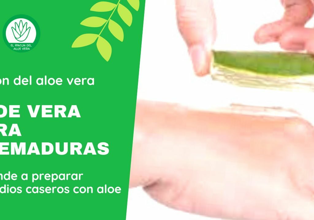 El gel de aloe vera es ampliamente utilizado como un tratamiento natural para quemaduras.