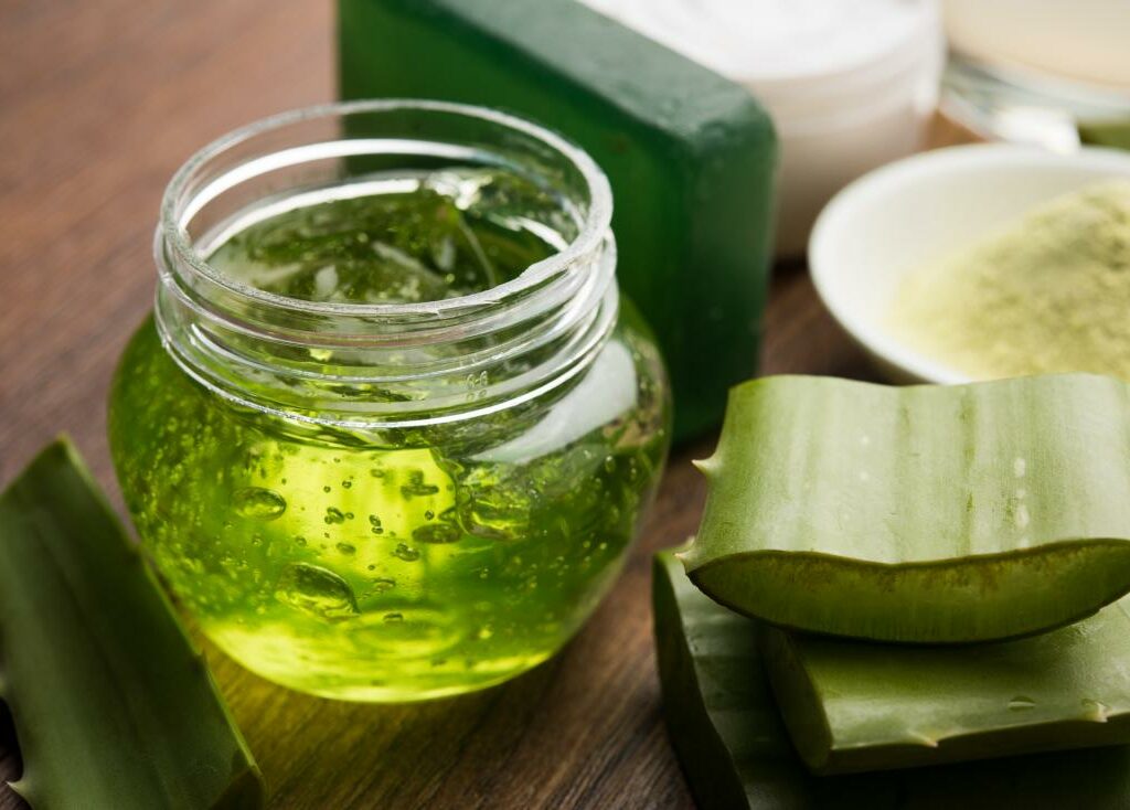 aloe vera en interior: Remedios naturales con aloe vera para tratar diversas dolencias