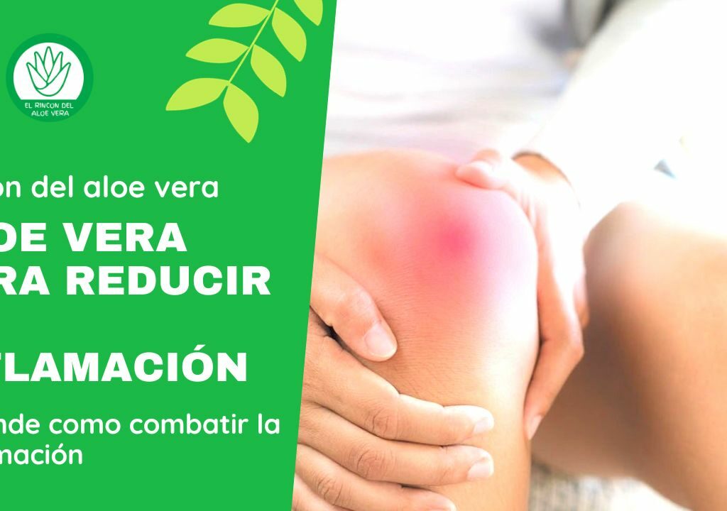 aloe vera para reducir la inflamación