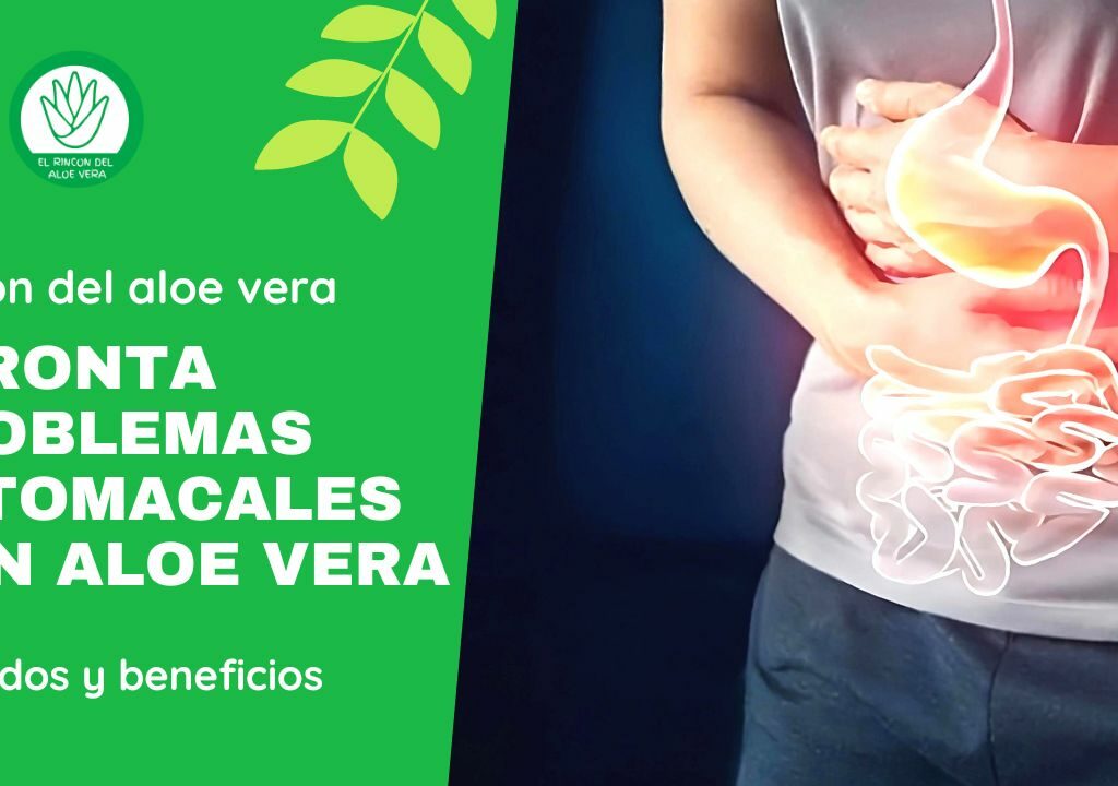 RINCON DEL ALOE VERA - Afronta problemas estomacales con Aloe vera: métodos y beneficios