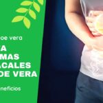 RINCON DEL ALOE VERA - Afronta problemas estomacales con Aloe vera: métodos y beneficios