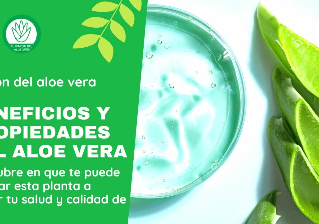 RINCON DEL ALOE VERA - Beneficios y propiedades del aloe vera