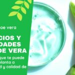 Beneficios y propiedades del aloe vera RINCON DEL ALOE VERA - Beneficios y propiedades del aloe vera