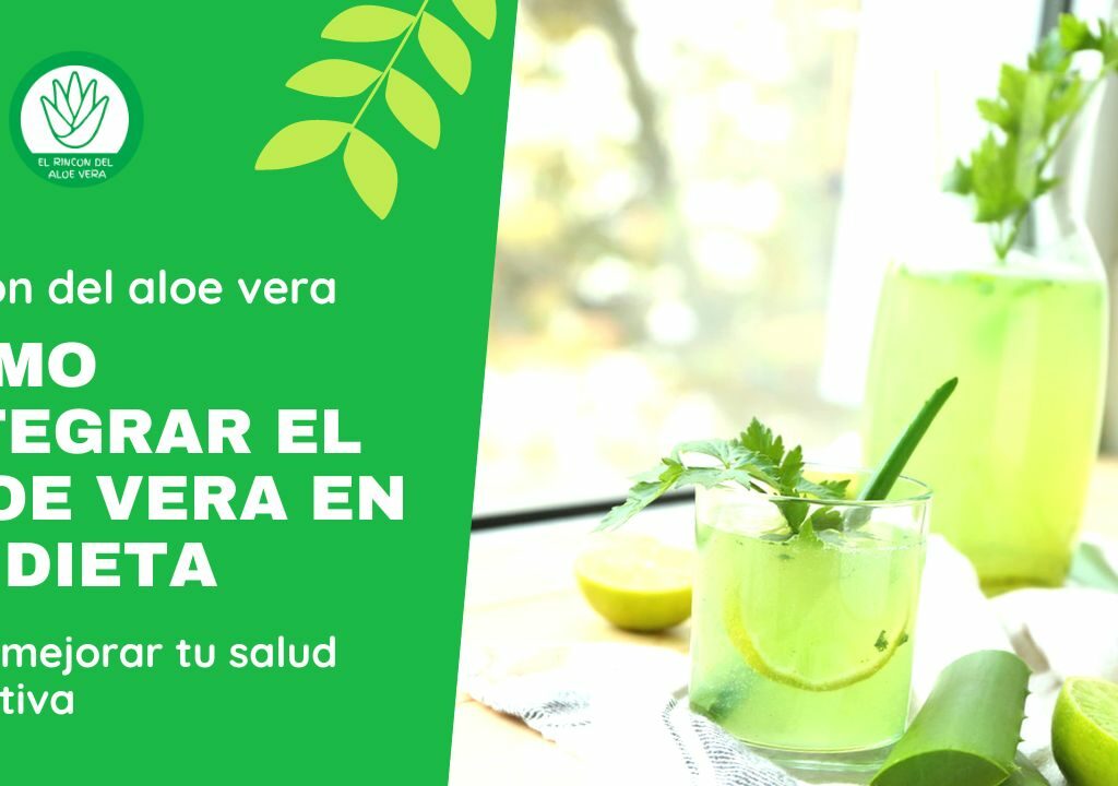 RINCON DEL ALOE VERA - Cómo integrar el Aloe vera en tu dieta para mejorar tu salud digestiva