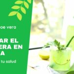 RINCON DEL ALOE VERA - Cómo integrar el Aloe vera en tu dieta para mejorar tu salud digestiva