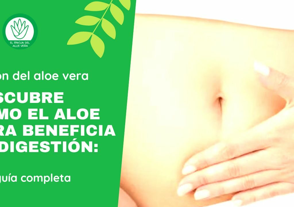 El estómago de una mujer con las palabras descubrimo el aloe verena beneficio de la digesti.