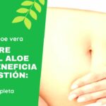 El estómago de una mujer con las palabras descubrimo el aloe verena beneficio de la digesti.