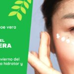 Los usos en invierno del aloe vera para hidratar y cuidar la piel RINCON DEL ALOE VERA - Los usos en invierno del aloe vera para hidratar y cuidar la piel