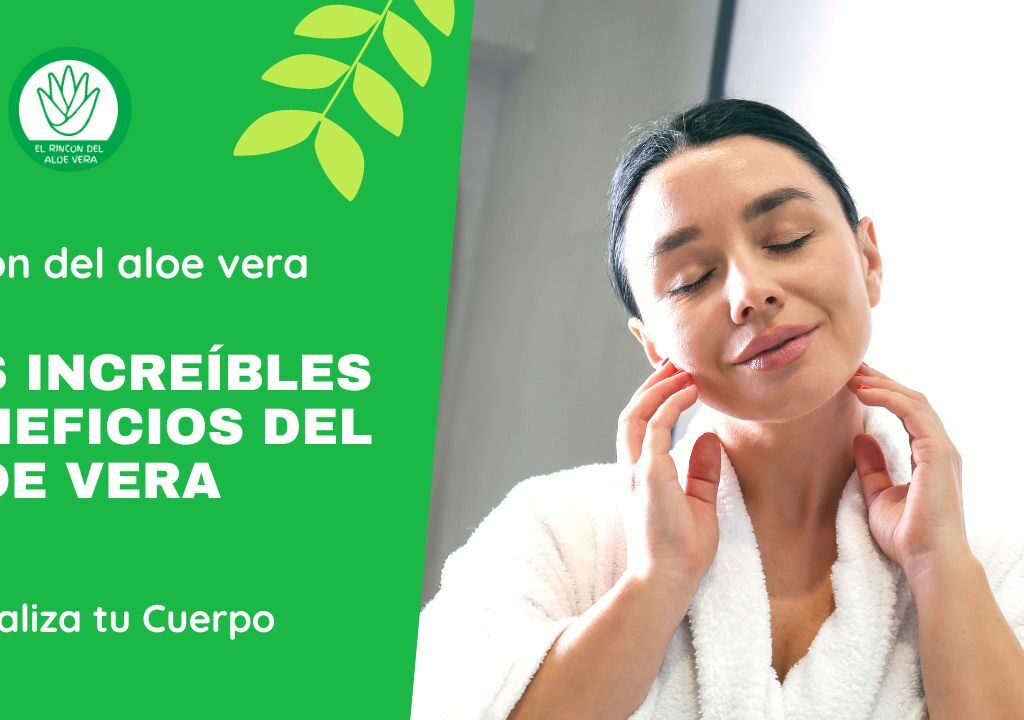 RINCON DEL ALOE VERA - Revitaliza tu Cuerpo: Los Increíbles Beneficios del Aloe Vera