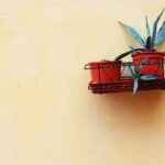 Photo Benefits of aloe vera