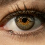 Au Naturel: Using Aloe Vera to Enhance Your Lash Game el ojo que todo lo ve