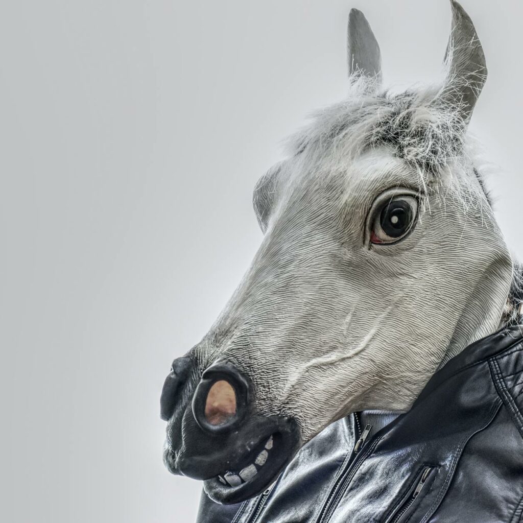 White Horse Wearing Black Leather Zip-up Jacket