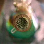 Fade Away the Lines: Aloe Vera's Secret Weapon Against Stretch Marks Bowl of a bong